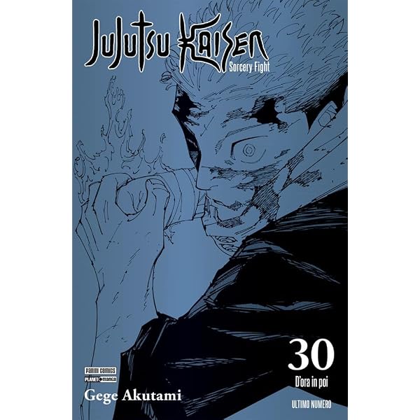Jujutsu Kaisen. Sorcery Fight. Official fanbook (Planet manga